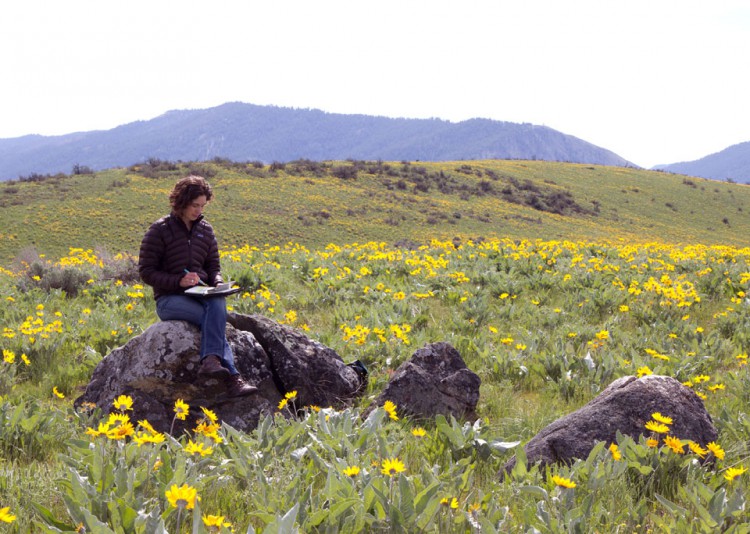 Art Toolkit Expeditionary Art