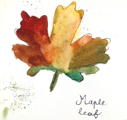 A student explores fall colors