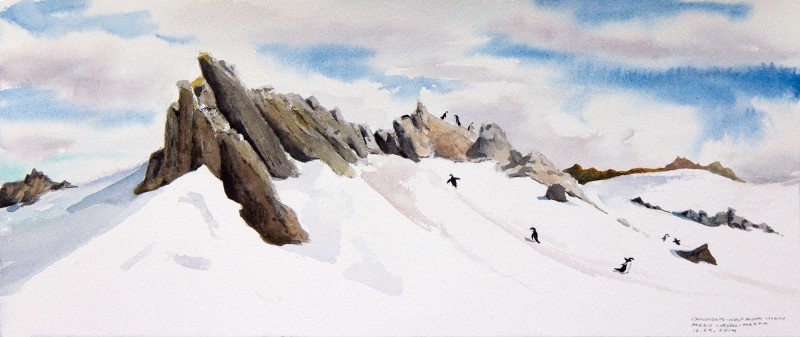 Chinstrap Penguins, 6.5" x 15" field watercolor