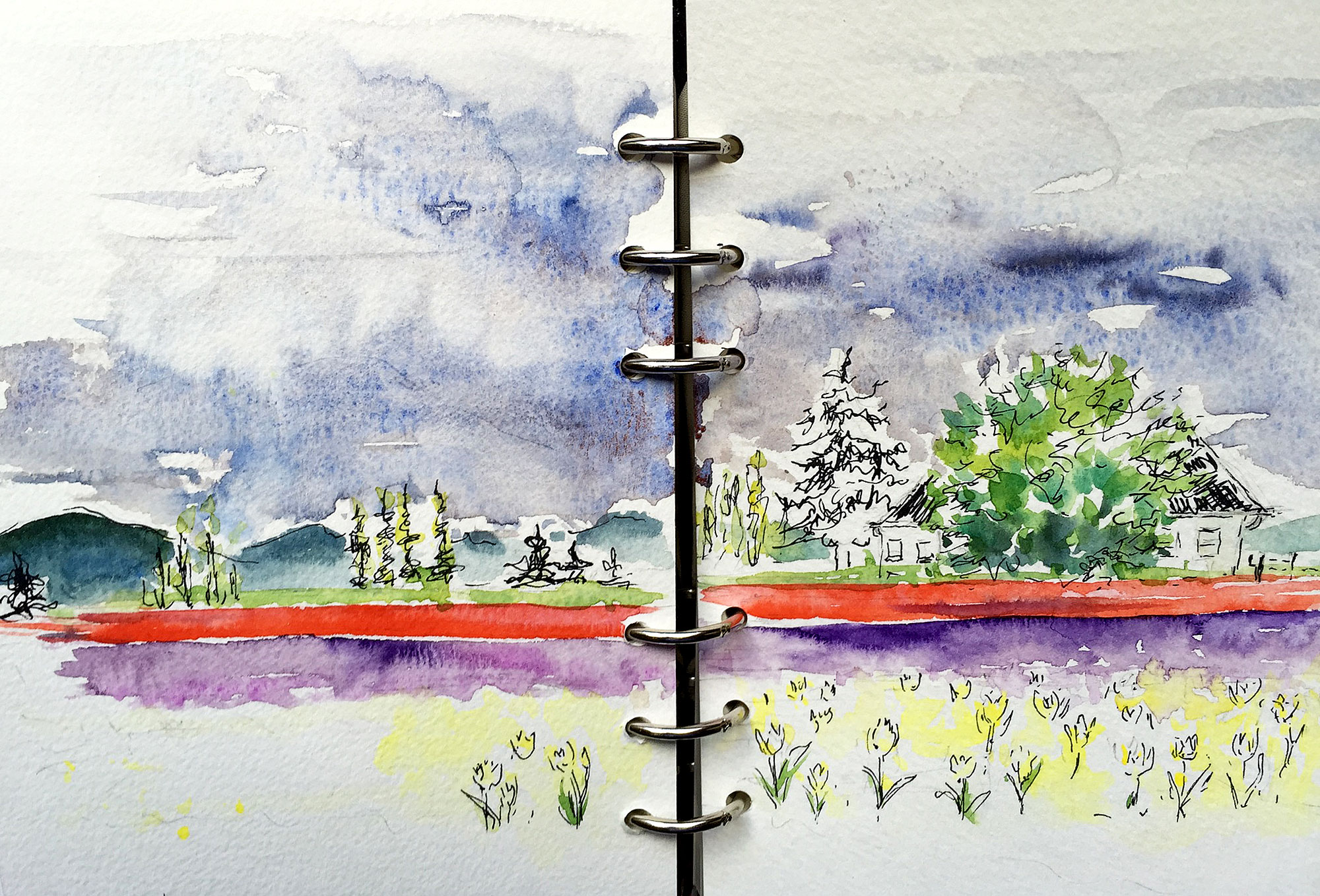 Art Toolkit in Action Skagit Valley Expeditionary Art