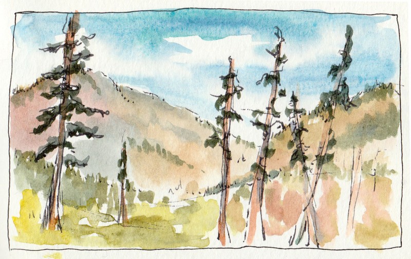 Methow River trail, 3.5" x 5" watercolor sketch 